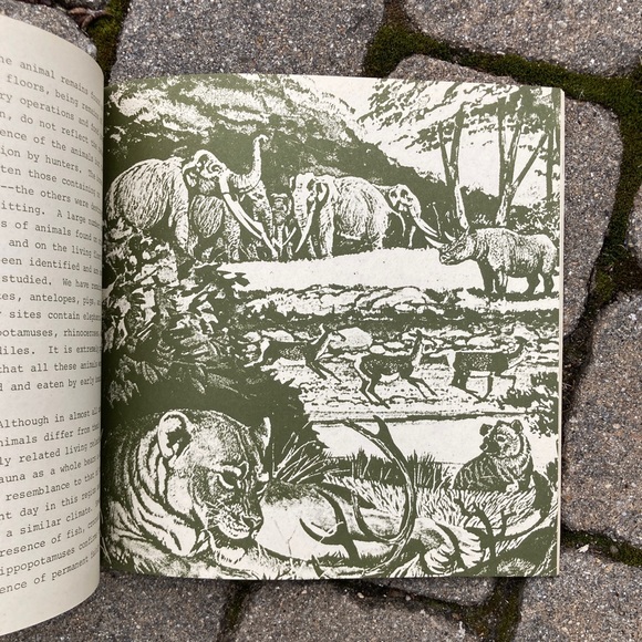 1972 Nutcracker Man Education Developments Hominid Fossil Caveman Apes Sciences - Picture 4 of 10